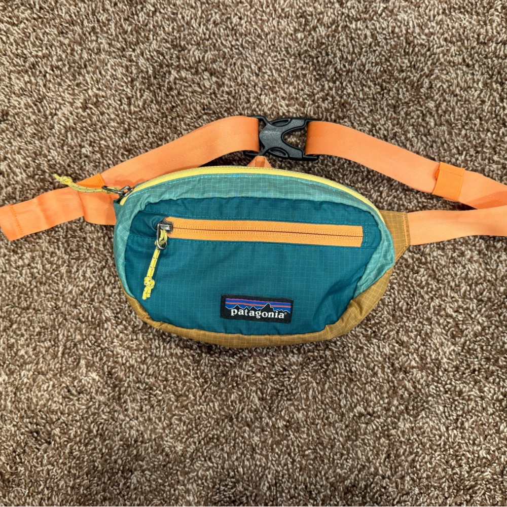 Patagonia Blue and Orange Belt Bag